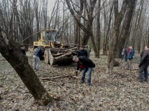 департамент по внутренней политике принимает участие во "Всероссийском субботнике" - фото - 12