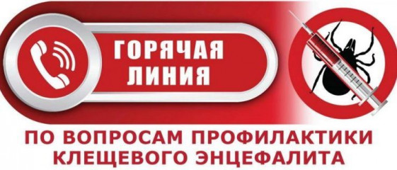 всероссийская горячая линия по профилактике клещевого энцефалита и других инфекций, передающихся клещами - фото - 1